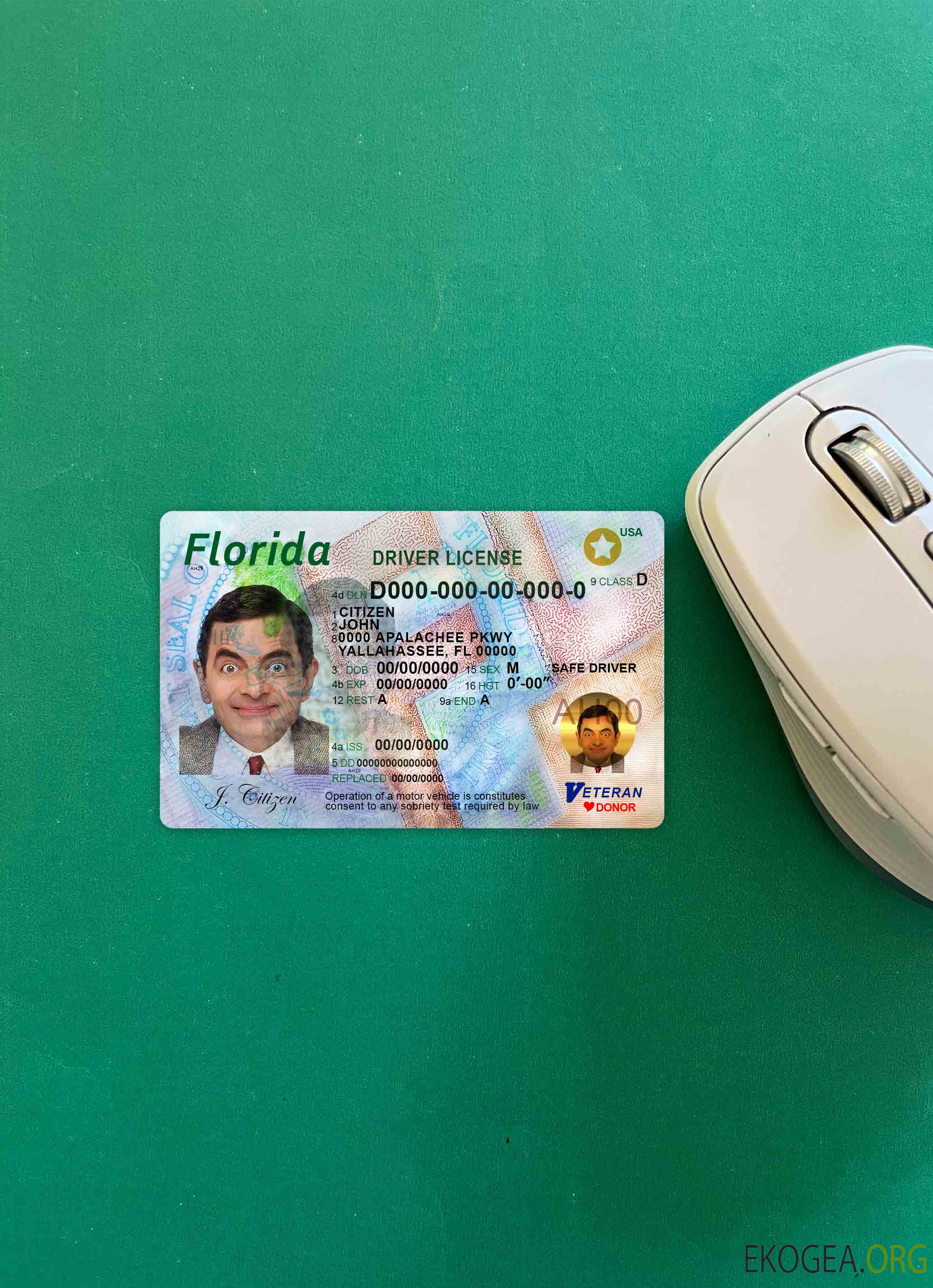 USA Floride DL photolook AVANT